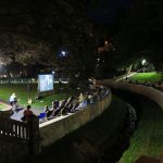 kino7