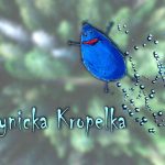 kropelka-00