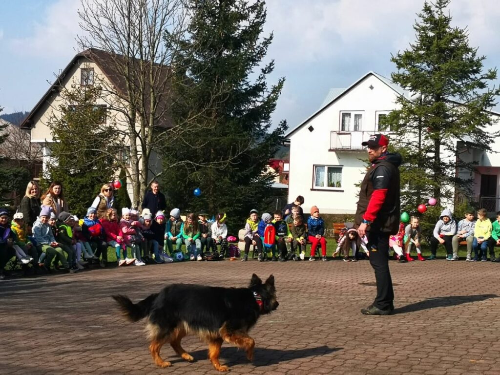 Na zdjęciu widoczny jest pokaz umiejętności psa poszukiwawczego prezentowany przez ratownika GOPR-u. Pokaz umiejętności oglądają uczniowie siedzący na ławkach oraz ich wychowawcy. W tle drzewa i domy.