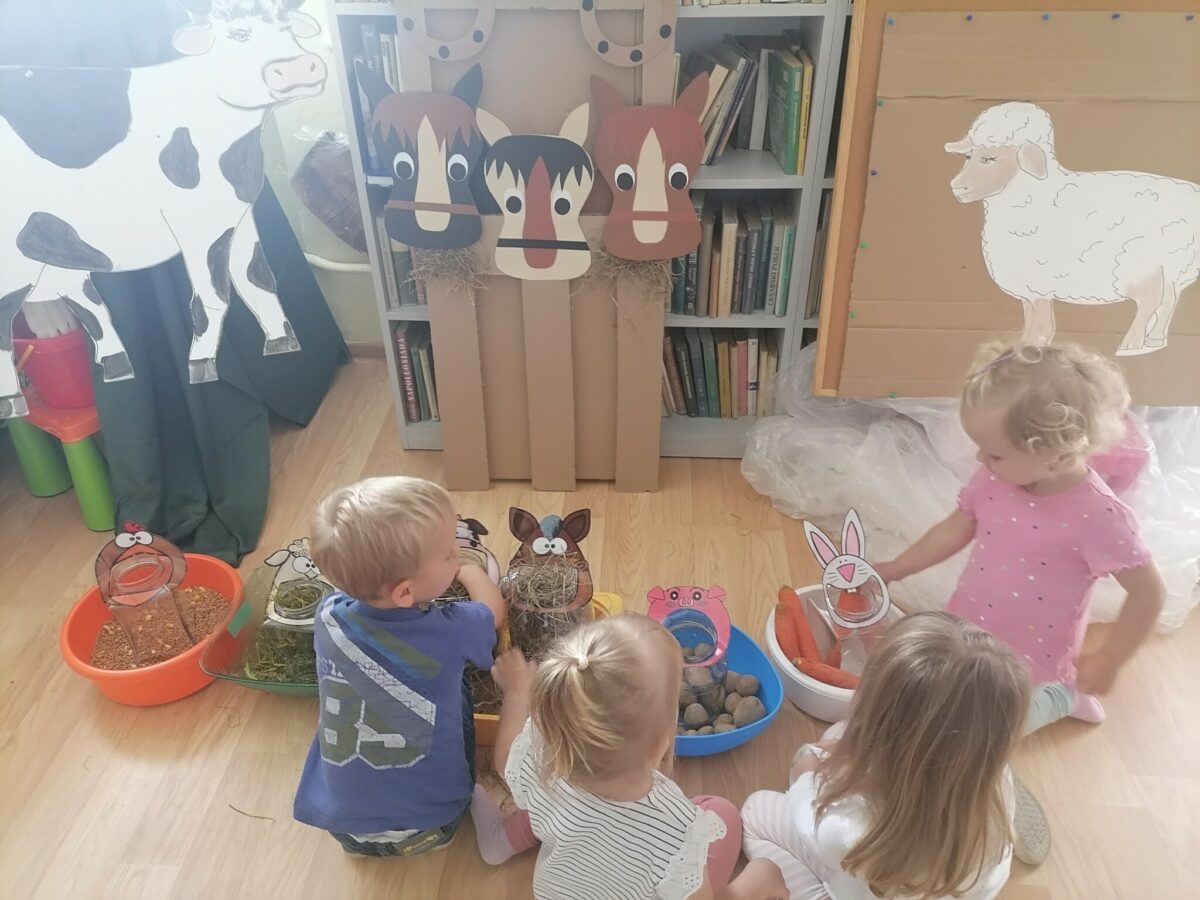 Pucio na wsi czyli książkowe harce z malcem w Tyliczu