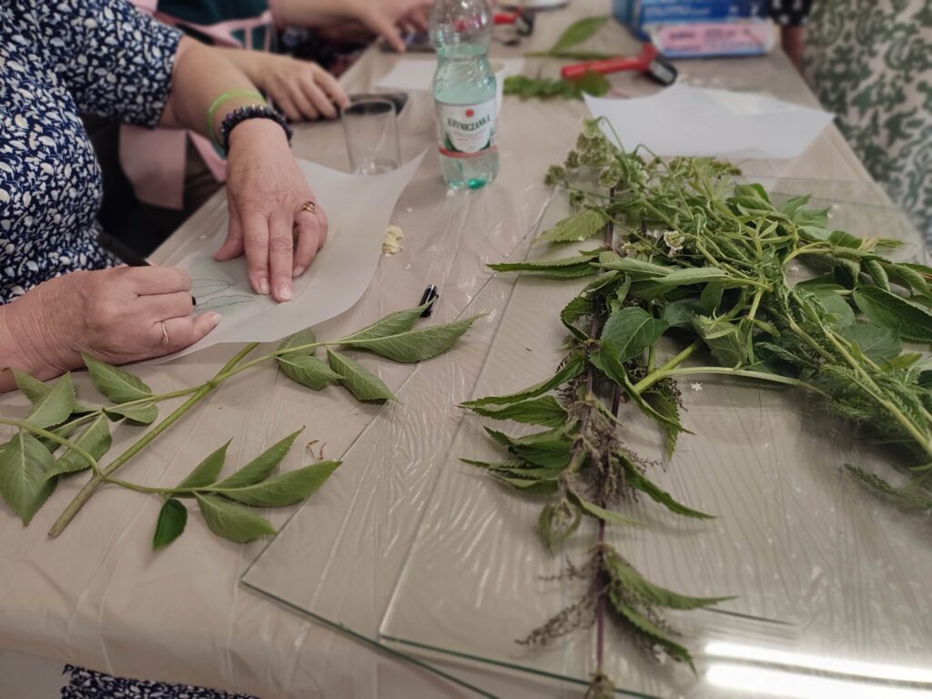 Warsztaty zielarskie - Przepiśnik pełen zdrowych receptur