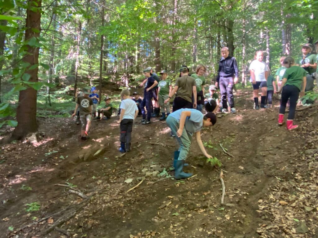Mały zielarz – warsztaty o ziołach i roślinach