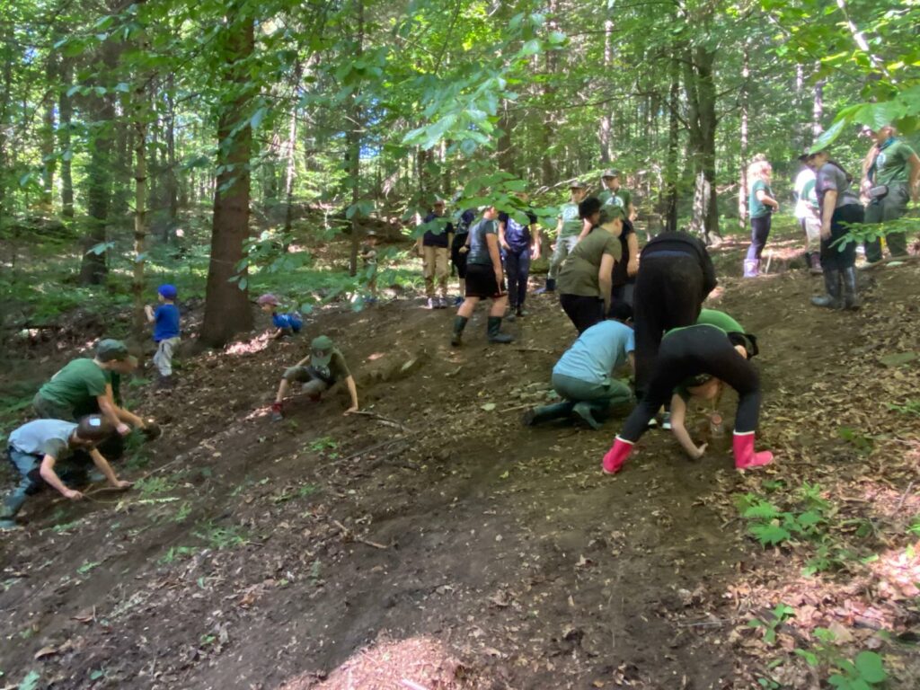 Mały zielarz – warsztaty o ziołach i roślinach