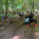 Mały zielarz – warsztaty o ziołach i roślinach