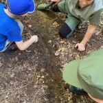 Mały zielarz – warsztaty o ziołach i roślinach