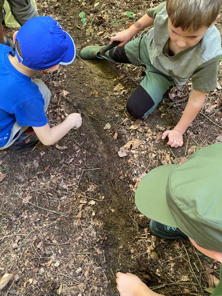 Mały zielarz – warsztaty o ziołach i roślinach