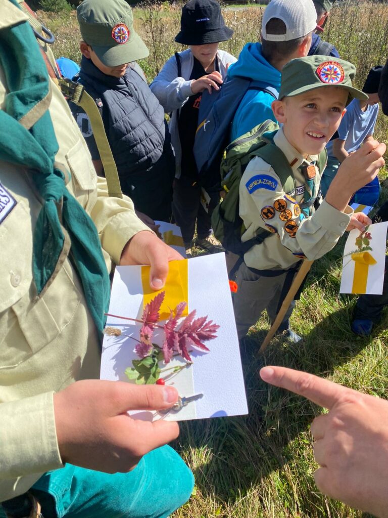 Mały zielarz – warsztaty o ziołach i roślinach