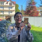 Mały zielarz – warsztaty o ziołach i roślinach