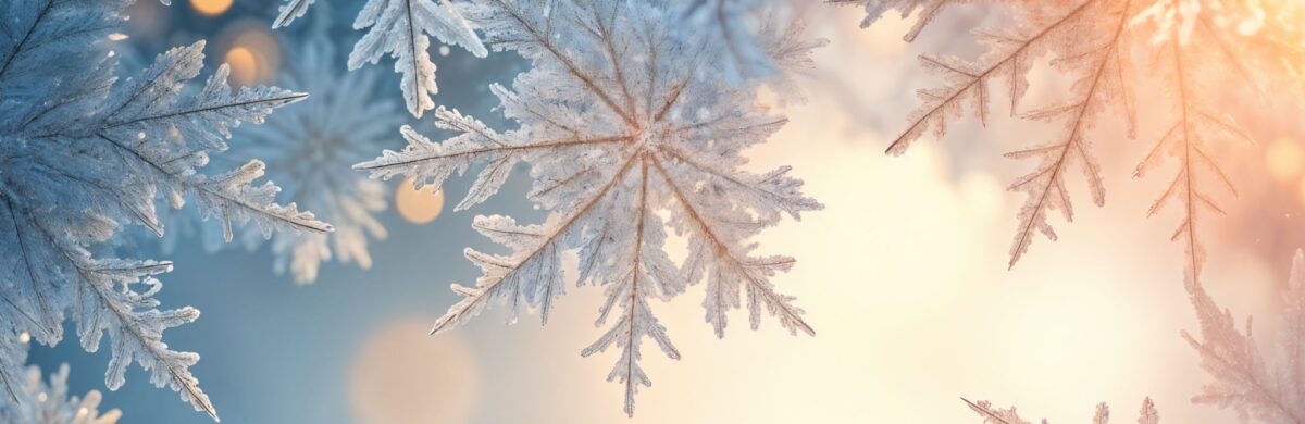 GRUDZIEŃ W BIBLIOTECE