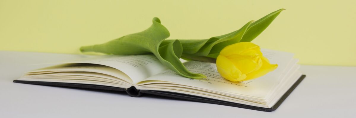 Szanowni Czytelnicy!