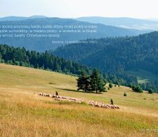 Na drogach głębi ducha – w światłach tysiąclecia