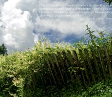 Na drogach głębi ducha – w światłach tysiąclecia