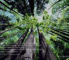 Na drogach głębi ducha – w światłach tysiąclecia