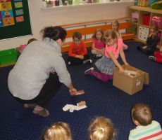 DKK DLA PRZEDSZKOLA I DINOZAURY