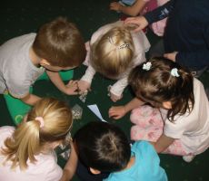 DKK DLA PRZEDSZKOLA I DINOZAURY