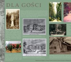 Dr Michał Zieleniewski – wystawy: plenerowa i online