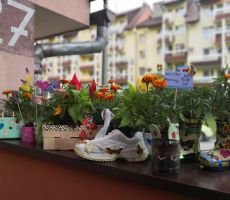 OGRÓDEK W... EKO-ZAJĘCIA W BIBLIOTECE NA CZARNYM POTOKU