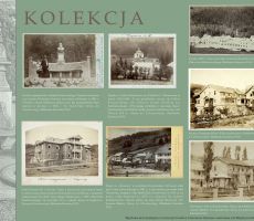 Dr Michał Zieleniewski – wystawy: plenerowa i online