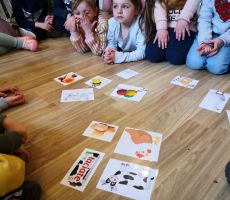 Zwierzęta z wiejskiego podwórka w Filii na Czarny Potoku