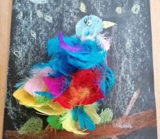 Młodzi ornitolodzy ruszają do akcji!