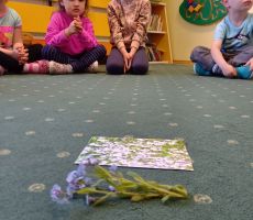 DKK DLA PRZEDSZKOLA NA ŹRÓDLANEJ