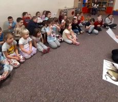 Z książką do przedszkola wybrały się dinozaury.