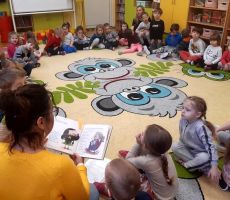 Portret kota - biblioteczne zajęcia w ochronce