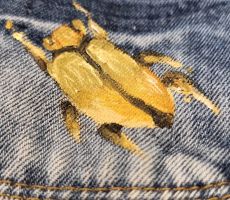 Skrzydła dla mamy – warsztaty customizacji