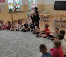 Krótkowzroczna żyrafa