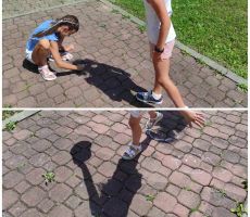 „Gdzie jest kameleon”