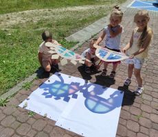 „Gdzie jest kameleon”