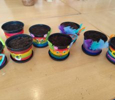 Książka Roślinkowa