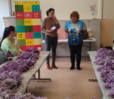 Warsztaty zielarskie w bibliotece
