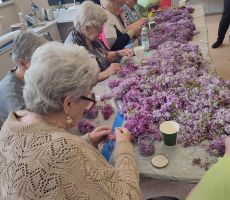 Warsztaty zielarskie w bibliotece