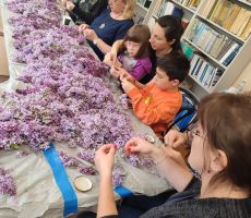 Warsztaty zielarskie w bibliotece