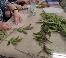 „Przepiśnik pełen zdrowych receptur” – warsztaty, które łączą sztukę z naturą!