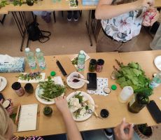 Ziołowy zakątek wśród literatury