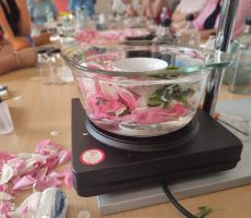 Ziołowy zakątek wśród literatury - Pomysł Mieszkańców – Wspólna Realizacja