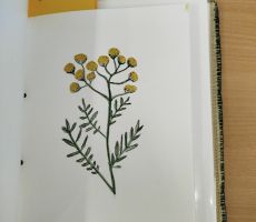 „ PRZEPIŚNIK PEŁEN ZDROWYCH RECEPTUR” – WARSZTATY, KTÓRE ŁĄCZĄ SZTUKĘ Z NATURĄ !