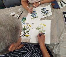 „ PRZEPIŚNIK PEŁEN ZDROWYCH RECEPTUR” – WARSZTATY, KTÓRE ŁĄCZĄ SZTUKĘ Z NATURĄ !