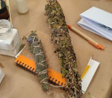 Magia ziół w bibliotece – tworzymy naturalne kosmetyki!