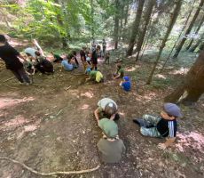 Mały zielarz – warsztaty o ziołach i roślinach