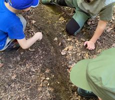Mały zielarz – warsztaty o ziołach i roślinach