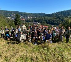 Mały zielarz – warsztaty o ziołach i roślinach