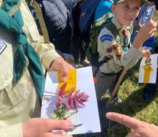 Mały zielarz – warsztaty o ziołach i roślinach