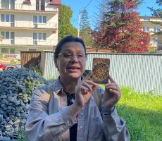 Mały zielarz – warsztaty o ziołach i roślinach