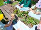 Dzień zielony w przedszkolu Montessori wspólnie z Filią nr 3!